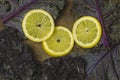 Sliced Lemon and Kale Salad on Wood Background