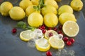 Sliced Lemons & Cranberrys