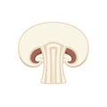 Sliced Mushroom Cross-Section: Vector Illustration of a Food Ingredient Royalty Free Stock Photo