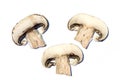 Sliced mushrooms