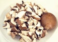 Sliced mushrooms, mushroom saprotroph closeup