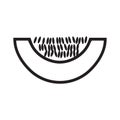 sliced muskmelon. Vector illustration decorative design