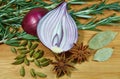 Onion with herbs 2 Royalty Free Stock Photo