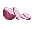 Sliced Onion Vector Element. Condiment For Hot Dog