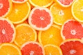 Sliced orange Royalty Free Stock Photo