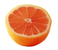 Sliced orange Royalty Free Stock Photo
