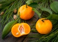 Sliced orange clementine tangerines with green leaves and coniferous fir-needles Royalty Free Stock Photo