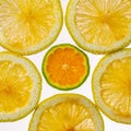Sliced Orange and Mandarin backlit showing texture