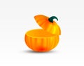 Sliced orange pumpkin. Realistic pumpkin with lid. Vector illustration Pumpkin isolated on white background.
