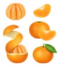 Sliced orange. Realistic peeled mandarin and orange skin natural helthy juicy food decent vector template