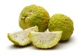 Sliced osage oranges or Maclura Royalty Free Stock Photo