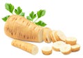 sliced parsnip root isolated on white background. clipping path