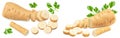 sliced parsnip root isolated on white background. clipping path