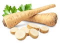 sliced parsnip root isolated on white background. clipping path
