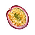Sliced passion fruit watercolor illustration isolated on white background. Royalty Free Stock Photo