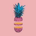 Sliced pastel color pineapple on pink background Royalty Free Stock Photo