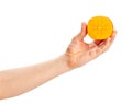 sliced persimmon in hand Royalty Free Stock Photo