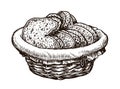 Sliced pieces of bread in basket. Food, bakery vector illustration sketch