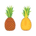 Sliced pineapple isolated vector collection. set with price. illustration on white background Royalty Free Stock Photo