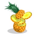 Sliced pineapple, juicy ananas. Harvesting tropical fruits. Cartoon realistic vector isolated on white background