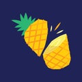 Sliced pineapple. Vector illustration decorative background design