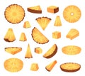 Sliced pineapples. Tropical juicy healthy fruits pieces of ananas exact vector colorful cartoon illustrations