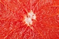 Sliced pink grapefruit closeup macro shot as a background Royalty Free Stock Photo