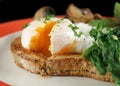 Sliced Poached Egg Royalty Free Stock Photo