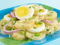 Sliced Potato Salad Royalty Free Stock Photo