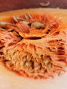 Sliced pumpkin close up with seeds selective focus, blurred background Royalty Free Stock Photo