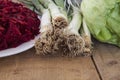 Sliced radishes, leek and lettuce Royalty Free Stock Photo