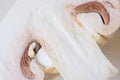 Sliced raw champignons close-up, detailed macro photo.