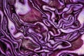 Sliced red cabbage close up