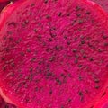 Sliced red dragon fruit Royalty Free Stock Photo