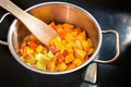 Sliced red kuri squash or Hokkaido pumpkin in a stainless steel pot on a black induction stove, cooking a vegetable recipe for