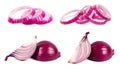 Sliced red onion isolated on white background. Collection of red onion slices isolated on a white background. Red onion