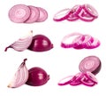 Sliced red onion isolated on white background. Collection of red onion slices isolated on a white background. Red onion