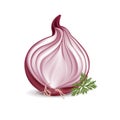 Sliced red onion with parsley Royalty Free Stock Photo