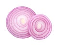 Sliced red onion rings  isolated on white background top view Royalty Free Stock Photo
