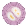 Sliced red onion on white background