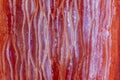 Sliced red pepper close-up view texture Royalty Free Stock Photo