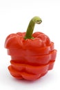 Sliced red pepper on white Royalty Free Stock Photo