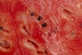 Sliced ripe and juicy watermelon of red color Royalty Free Stock Photo