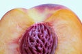 Sliced ripe peach close-up Royalty Free Stock Photo