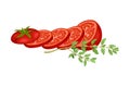 Sliced Ripe Tomato with Twig of Kitchen Herb Rested Nearby Vector Composition