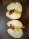 Sliced rotten apple on kitchen worktop Royalty Free Stock Photo