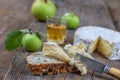 Sliced round camembert cheese traditional french milk creamy dairy product with fresh aromatics herbs Royalty Free Stock Photo