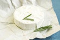 Sliced round camembert cheese traditional milk creamy dairy product with rosemary Royalty Free Stock Photo