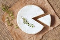 Sliced round camembert cheese traditional milk Royalty Free Stock Photo