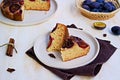 Sliced round honey cake or muffin with fresh plums on a light grater on a light concrete background. Plum baked goods Royalty Free Stock Photo